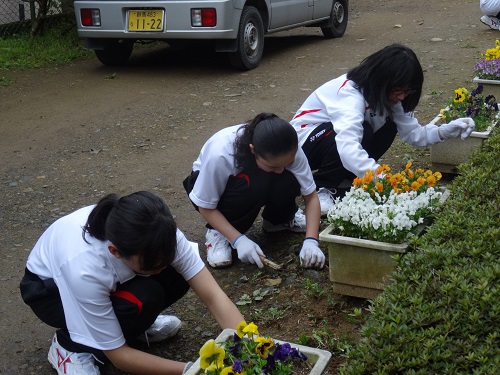 ボランティア②