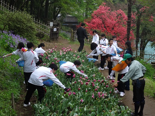 ボランティア①